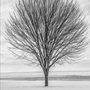 Meet your Posher, Frank